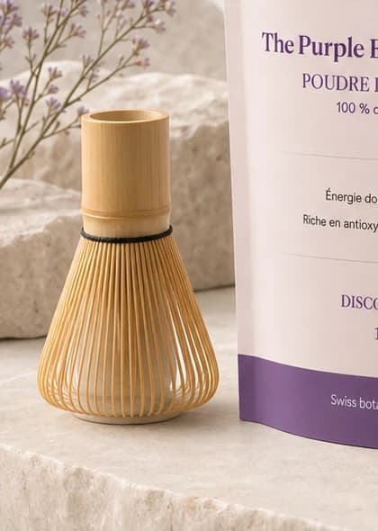 Fouet Minimal — Ritual Accessory